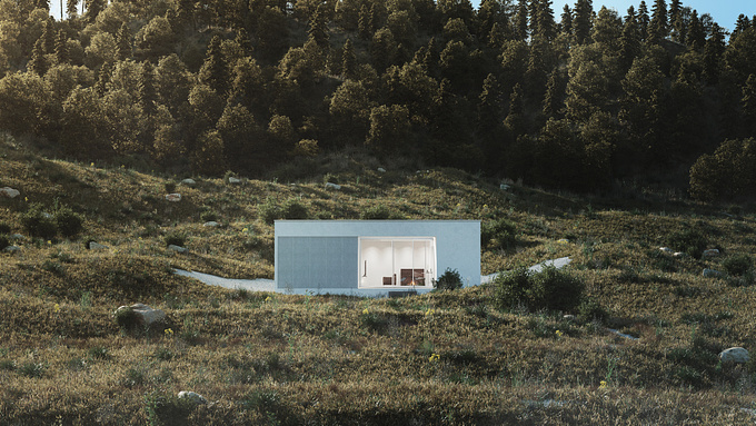 asv - https://www.facebook.com/Artursaljukovisuals/
Vegetation workow practice. Design is inspired by La Casa sull’atopiano by morana+rao architects
