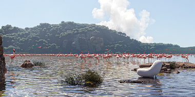 PATOSO IN NAKURU - Gazing at the lake