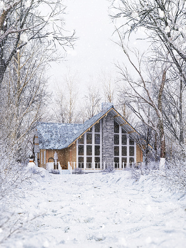 THE SNOW HOUSE