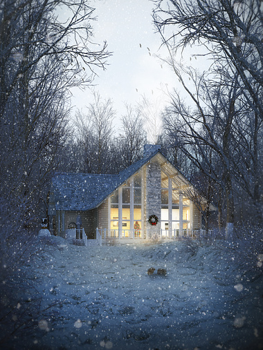 THE SNOW HOUSE