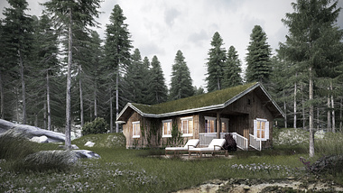Cabin in forest