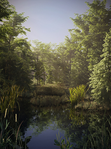 3d visualization forest