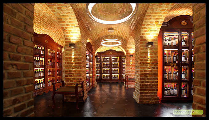 homologue - http://www.homologue.hu
This picture show a  wine repository what we designed, and have been built in Budapest.
 

