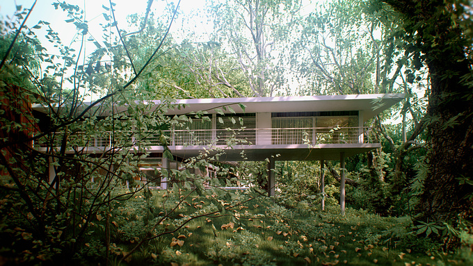 the forest house