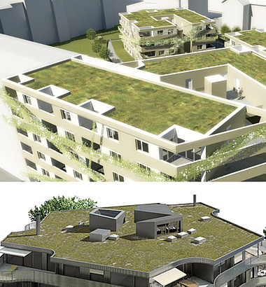 greening for roof