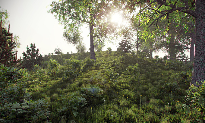 Antoine Desjardins - http://Antoine Desjardins
Here's a scene that I've been using to configure foliage in 3DS using Mental Ray.  I've also been experimenting with the efficiencies of scattering high poly meshes in high density scenarios.

This render @ 2000px wdide took 1Hr and 20Mins