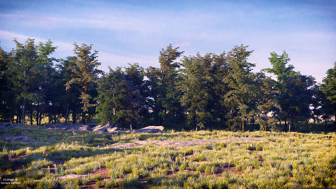 Corona Forest...
1st try in corona and love it....
15 hrs rendering with 75passes :)