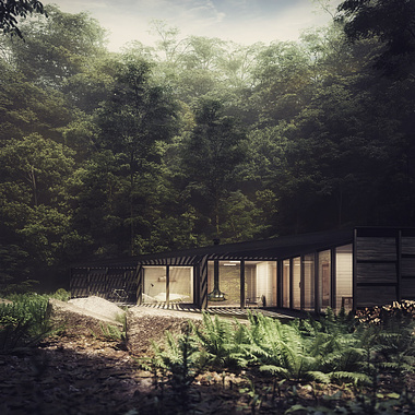 Modern Cabin Set In Dense Forest