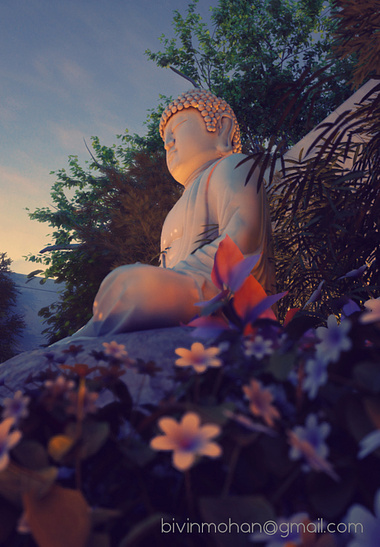 Buddha_Garden_Cinematic frame1