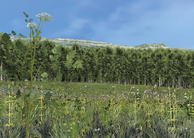 This visualization is taken from an interactive, GIS data based 3D landscape model, which has been created by Philip Paar and Dr. Wieland Röhricht with support from Dr. Ulrike Wissen-Hayek and Dr. Olaf Schroth from ETH Zurich. The scene comprises of more than 45 3D plant species.