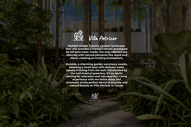 Discover Villa Petricor: Your Digital Haven