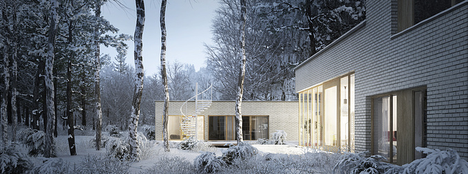 Images of single-family house made for Bień Architekci.