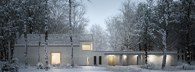 Images of single-family house made for Bień Architekci.