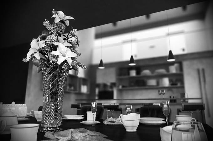 This is the result from a study of composition in black and white photography.
3ds max, V-Ray, Photoshop.