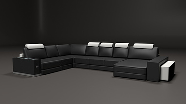Leather Couch 9