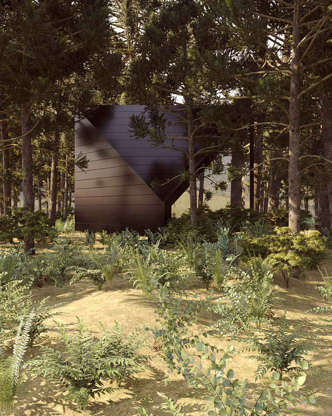 http://ergunmahmutenes@gmail.com
3ds Max V-Ray Forest Pack