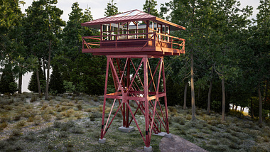 Fire Towers