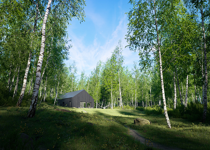 Visualization of a modern barn house among the birch trees
