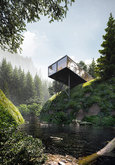 Modern House in the forest