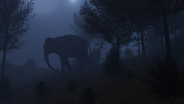 Jungle in moonlight