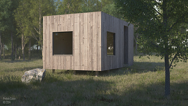 Pre-Fab Cabin in the Woods