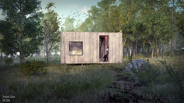 Pre-Fab Cabin in the Woods