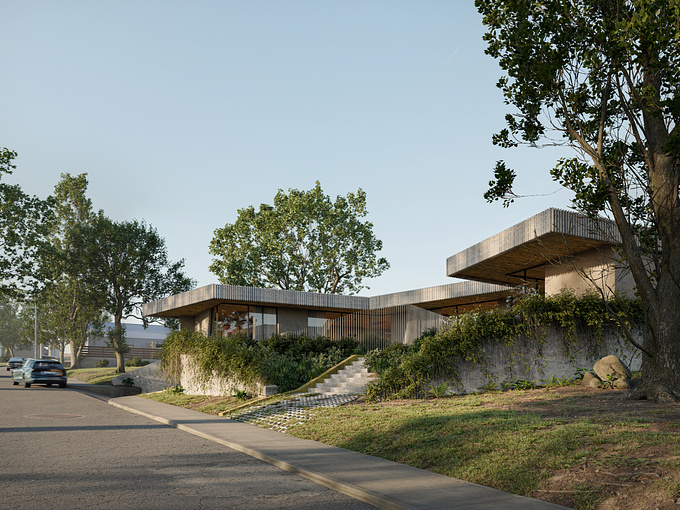 Single-Family Residential House (Iron Jaw)