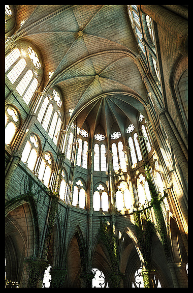 "Cathedral" Image 01