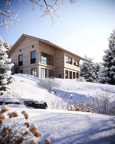 Architectural 3D Rendering with а Winter Mood