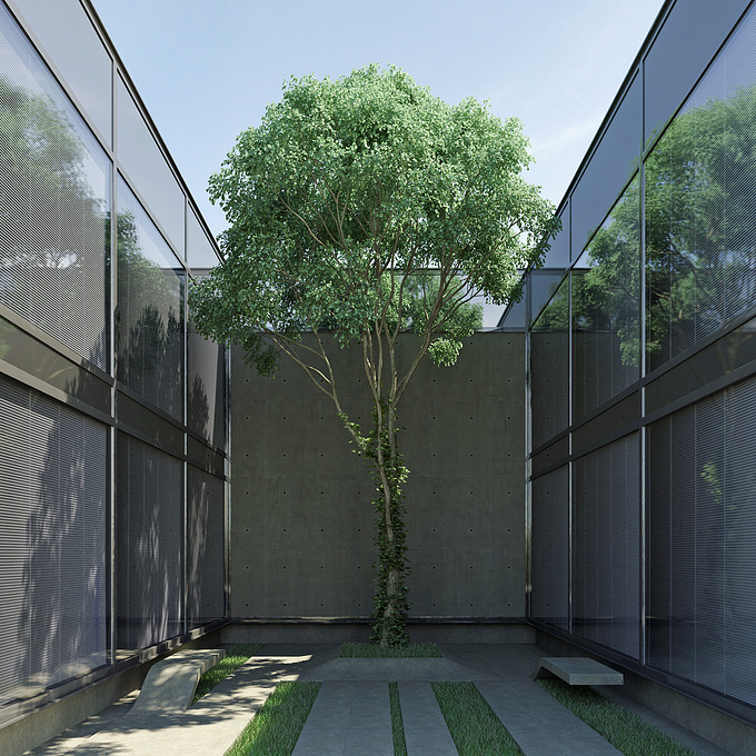 Small courtyard with a green tree