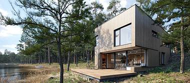 Weedkend House PS /CGI