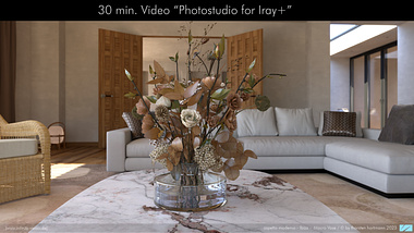 New! 30 minutes video "Photostudio vor Iray+"