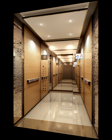Chongqing Lot B2 Residential Elevator Interior Design