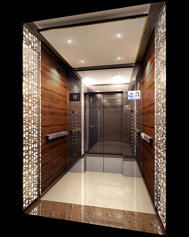 Chongqing Lot B2 Residential Elevator Interior Design