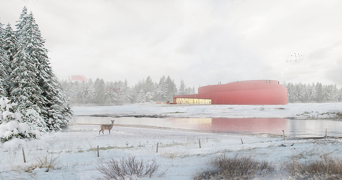 Naturessen Birdwatch Museum Competition
Project by Biplano
Image by The Whale's Side