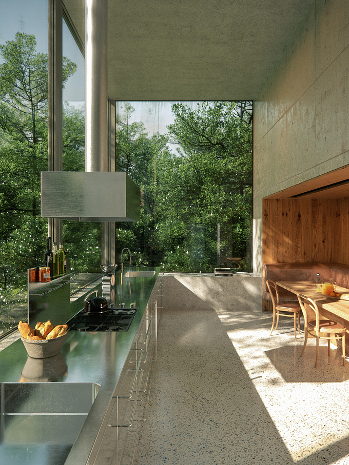 VISARD - http://www.visard.co.uk
House in which famous architect Peter Zumthor lives and works is situated in Switzerland's countryside. It's surrounded by trees and nature.  The view from kitchen beautifully depicts some of the main features of the house and its strong connection with the nature.