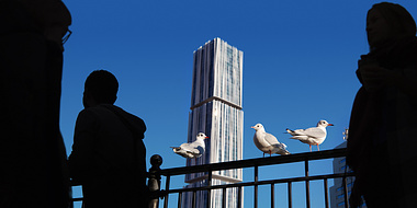 Seagulls or architecture?