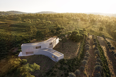 House in an Olive Tree Field