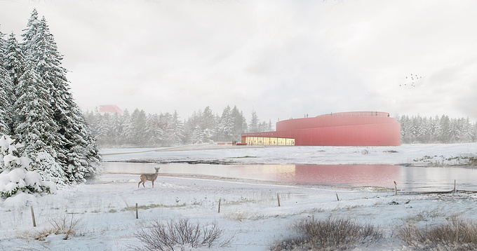 Naturessen Birdwatch Museum Competition
Project by Biplano
Image by The Whale's Side
