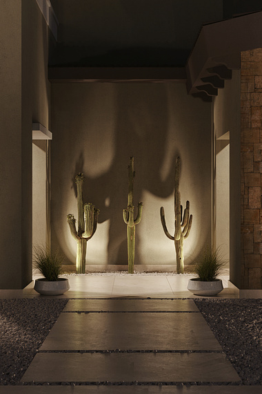 Cactus in the Entrance