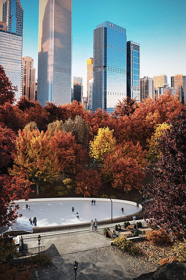 Fall City Park 3D Visualization is Perfect for the Season
