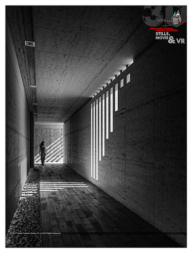 light & Shadow - 10