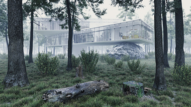 THE FOREST VILLA