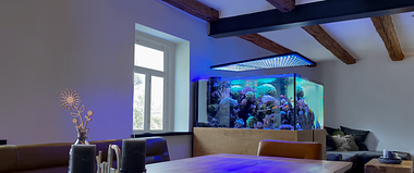 Fish Room 1