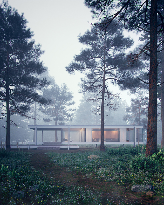Inspiration : Farnsworth House by Mies van der Rohe
