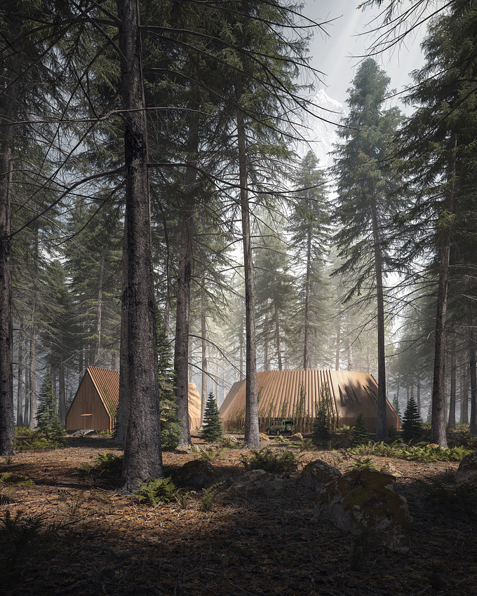 Forest retreat
image by Lunance