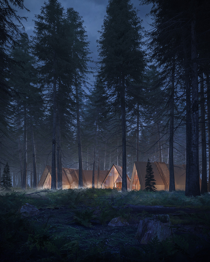 Forest retreat
image by Lunance