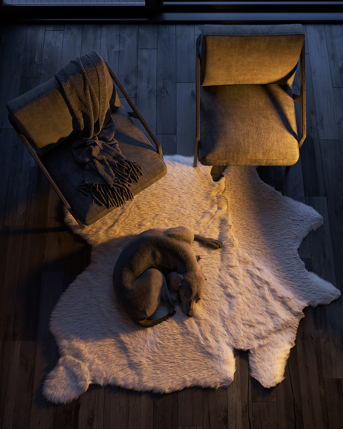 With an "all black" palette, the soft light highlights the beauty of the details and invites you to relax. A faithful friend rests peacefully on a white shag rug.