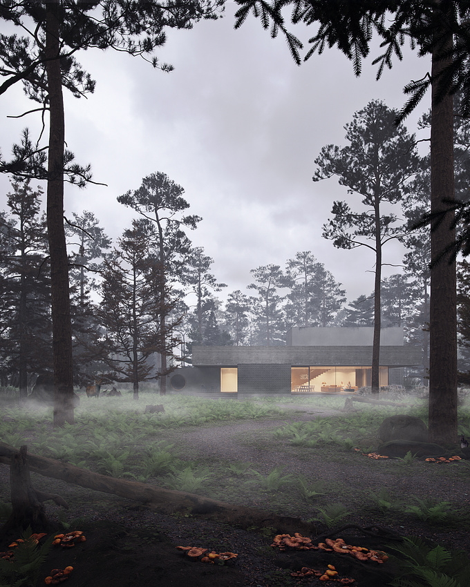 A house for someone who wants to create a forest in the desert.