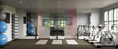 Fitness Extension with Dichromatic Glass